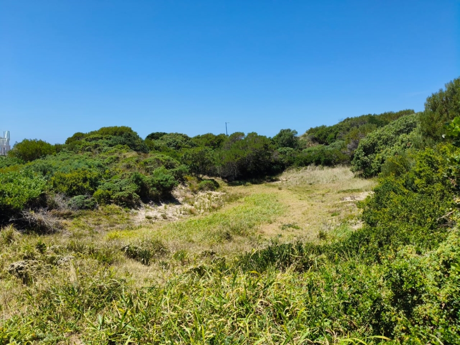 0 Bedroom Property for Sale in Paradise Beach Eastern Cape